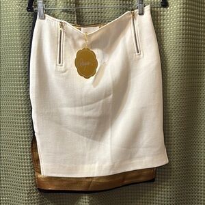 Elegant Cream and Gold Skirt